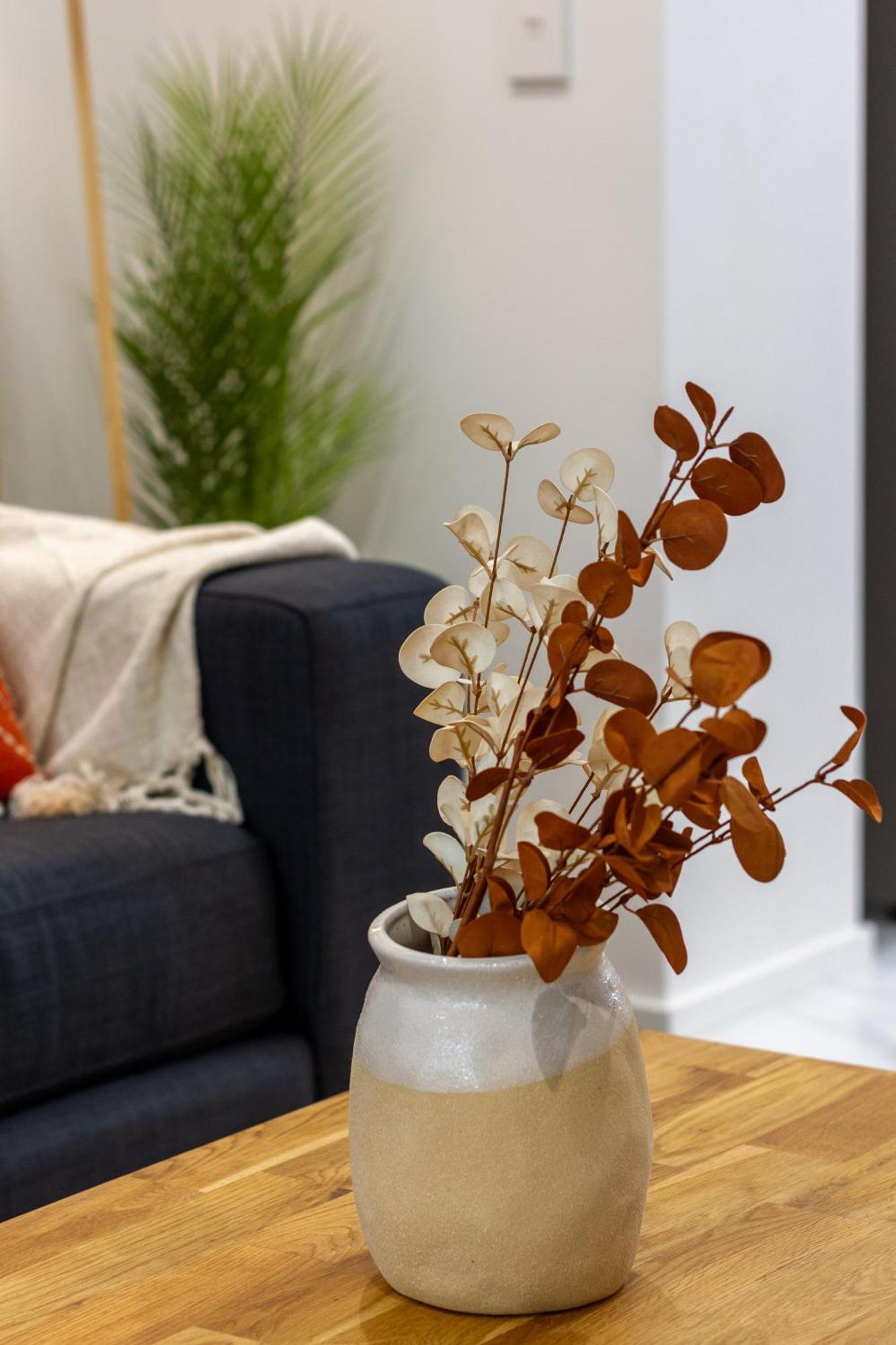 Modern City Lifestyle: 2 Bedroom 1 Bath Christchurch Extérieur photo